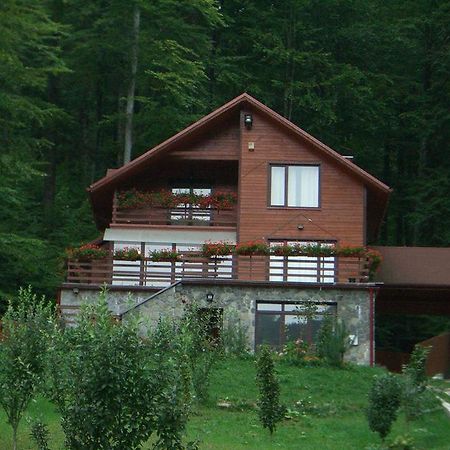 Villa Mara Сіная Екстер'єр фото